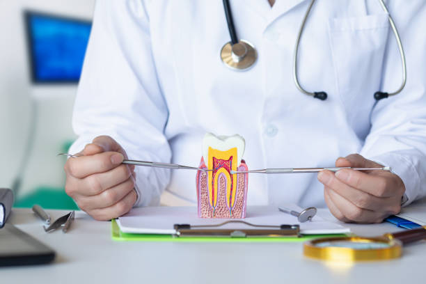 Best Emergency Treatment for Toothache in Romney, WV